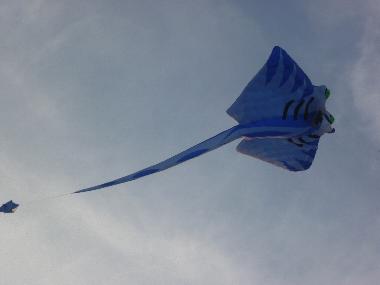 Holiday House in DIEPPE (Seine-Maritime) or holiday homes and vacation rentals