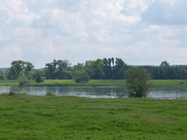 Holiday House in Bad Freienwalde (Mrkisch-Oderland) or holiday homes and vacation rentals