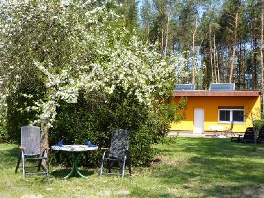 Holiday House in Bad Freienwalde (Mrkisch-Oderland) or holiday homes and vacation rentals
