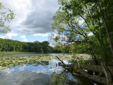 Holiday House in Bad Freienwalde (Mrkisch-Oderland) or holiday homes and vacation rentals