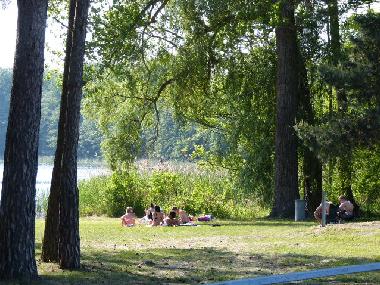 Holiday House in Bad Freienwalde (Mrkisch-Oderland) or holiday homes and vacation rentals