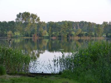 Holiday House in Bad Freienwalde (Mrkisch-Oderland) or holiday homes and vacation rentals