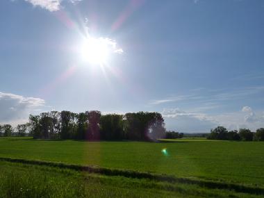 Holiday House in Bad Freienwalde (Mrkisch-Oderland) or holiday homes and vacation rentals