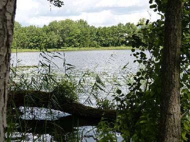 Holiday House in Bad Freienwalde (Mrkisch-Oderland) or holiday homes and vacation rentals