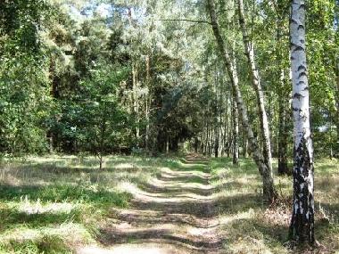 Holiday House in Bad Freienwalde (Mrkisch-Oderland) or holiday homes and vacation rentals