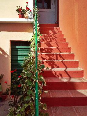 Holiday Apartment in Tivat (Montenegro) or holiday homes and vacation rentals
