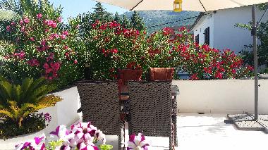 Holiday Apartment in Dobra Voda/ Veliki Pijesak (Montenegro) or holiday homes and vacation rentals