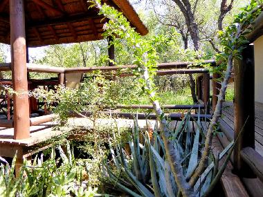 Holiday Apartment in Hoedspruit (Mpumalanga) or holiday homes and vacation rentals