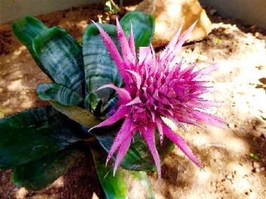 Holiday Apartment in Hoedspruit (Mpumalanga) or holiday homes and vacation rentals