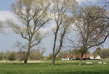 Villa in De Haan aan Zee  (Flanders) or holiday homes and vacation rentals