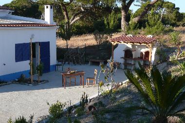 Holiday House in Melides (Alentejo Litoral) or holiday homes and vacation rentals