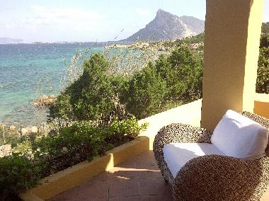 Villa in monte petrosu (Olbia-Tempio) or holiday homes and vacation rentals