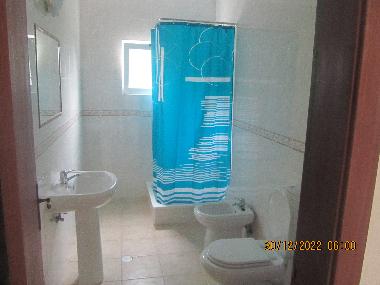Holiday House in Melides (Alentejo Litoral) or holiday homes and vacation rentals