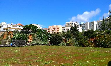 Holiday Apartment in Portimao  (Algarve) or holiday homes and vacation rentals
