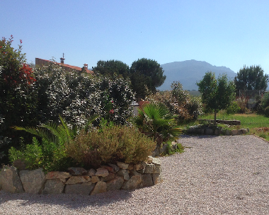 Holiday Apartment in 20260 (Haute-Corse) or holiday homes and vacation rentals