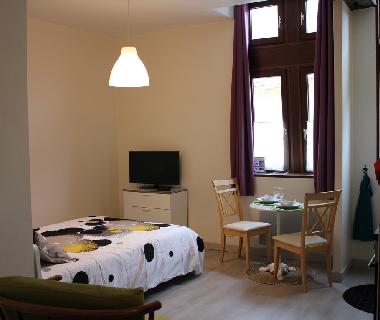 Holiday Apartment in Bar sur Seine (Aube) or holiday homes and vacation rentals