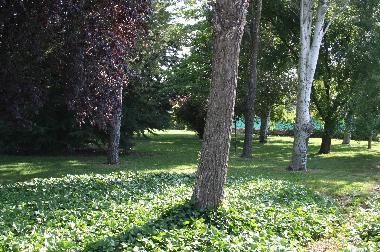 Villa in LARDERO (La Rioja) or holiday homes and vacation rentals