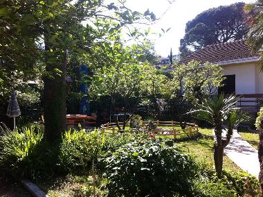 Holiday Apartment in Igalo (Montenegro) or holiday homes and vacation rentals