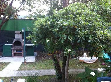 Holiday Apartment in Igalo (Montenegro) or holiday homes and vacation rentals