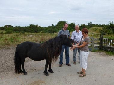 Holiday House in Scharendijke (Zeeland) or holiday homes and vacation rentals