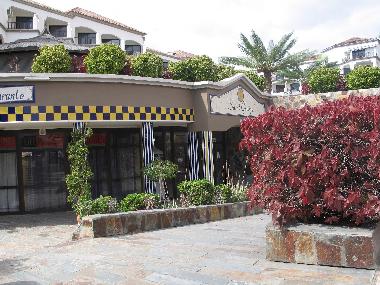 Holiday Apartment in Los Cristianos (Teneriffa) or holiday homes and vacation rentals