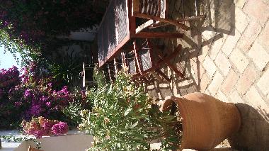 Villa in Lora del Rio (Sevilla) or holiday homes and vacation rentals