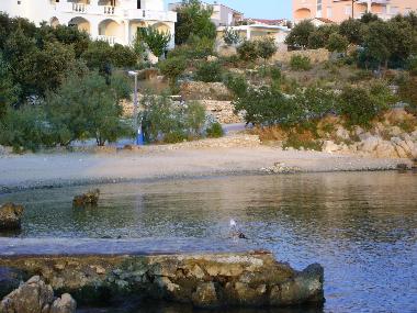 Holiday Apartment in Mandre (Zadarska) or holiday homes and vacation rentals