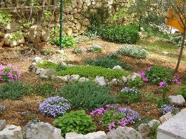 Holiday Apartment in Mandre (Zadarska) or holiday homes and vacation rentals