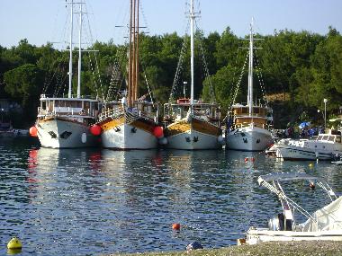 Holiday Apartment in Mandre (Zadarska) or holiday homes and vacation rentals