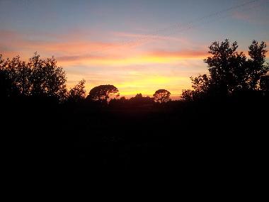 Villa in Manduria (Taranto) or holiday homes and vacation rentals