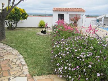 Pretty Gardens