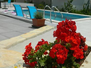 Holiday Apartment in Lokva Rogoznica (Splitsko-Dalmatinska) or holiday homes and vacation rentals