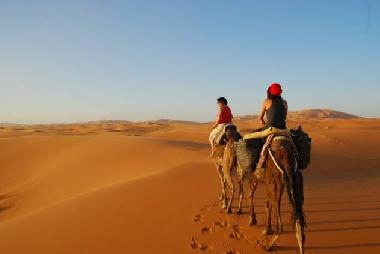 Bed and Breakfast in Zagora (Ouarzazate) or holiday homes and vacation rentals