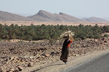 Bed and Breakfast in Zagora (Ouarzazate) or holiday homes and vacation rentals