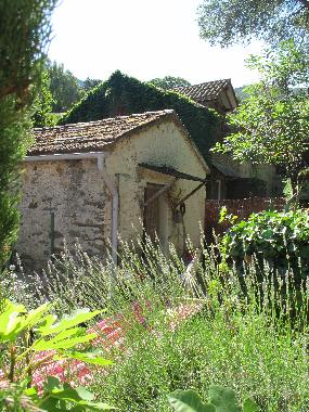Holiday Apartment in Oletta (Haute-Corse) or holiday homes and vacation rentals