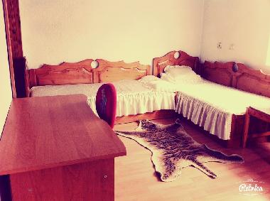 Holiday House in Barutin (Smolyan) or holiday homes and vacation rentals
