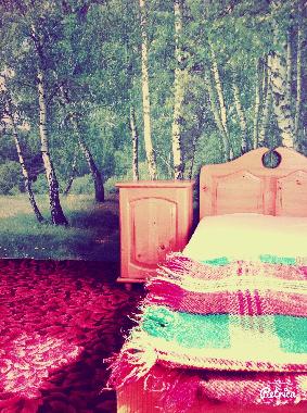 Holiday House in Barutin (Smolyan) or holiday homes and vacation rentals