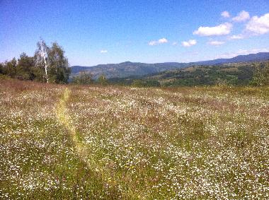 Holiday House in Barutin (Smolyan) or holiday homes and vacation rentals