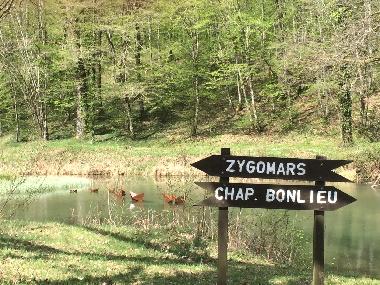 Chalet in Virton (Wallonia) or holiday homes and vacation rentals