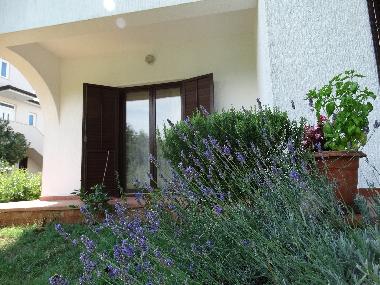 Holiday Apartment in Vranici (Istarska) or holiday homes and vacation rentals