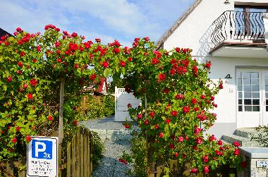 Holiday Apartment in Thiessow (Ostsee-Inseln) or holiday homes and vacation rentals