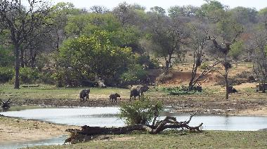 Holiday House in Hoedspruit (Mpumalanga) or holiday homes and vacation rentals