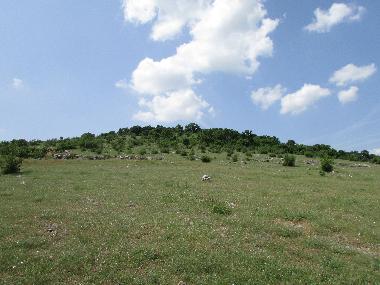 Villa in Botevo (Yambol) or holiday homes and vacation rentals