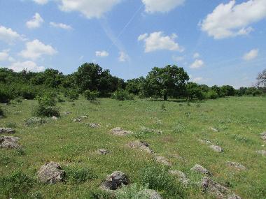 Villa in Botevo (Yambol) or holiday homes and vacation rentals