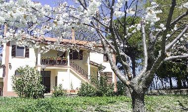 Bed and Breakfast in Senigallia (Ancona) or holiday homes and vacation rentals