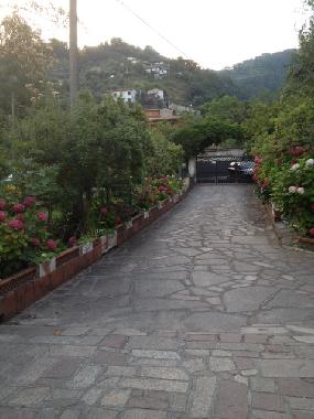 Villa in Montignoso (Massa-Carrara) or holiday homes and vacation rentals