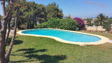 Holiday Apartment in Dnia (Alicante / Alacant) or holiday homes and vacation rentals
