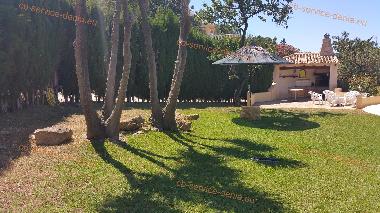 Holiday Apartment in Dnia (Alicante / Alacant) or holiday homes and vacation rentals