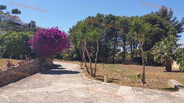 Holiday Apartment in Dnia (Alicante / Alacant) or holiday homes and vacation rentals