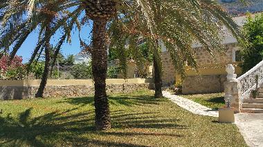 Holiday Apartment in Dnia (Alicante / Alacant) or holiday homes and vacation rentals